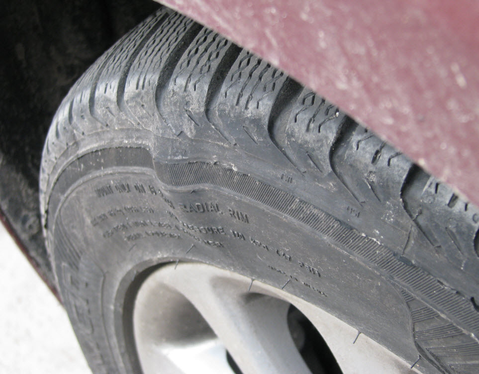 ���� Nokian W+ 205/55/R16 ���� ������� � ������ �������� ����. 5 ������ �������� ���� � ���� �� ��������  