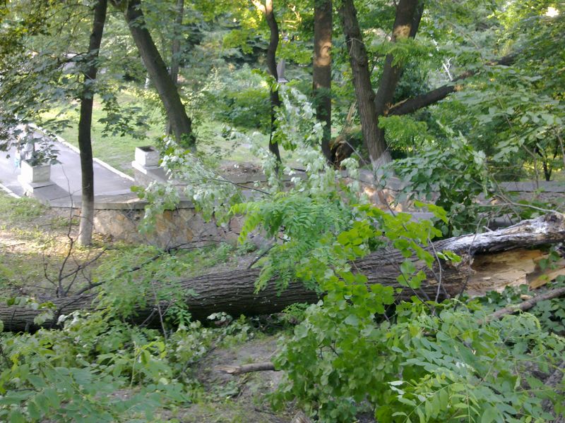 ��� ��� �����, ����� ��� ����� � ������ �������.