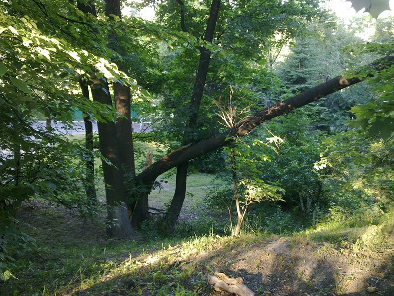 ��� ���� �����, �� �� ������ �� ����� - ������ ������� ��������.