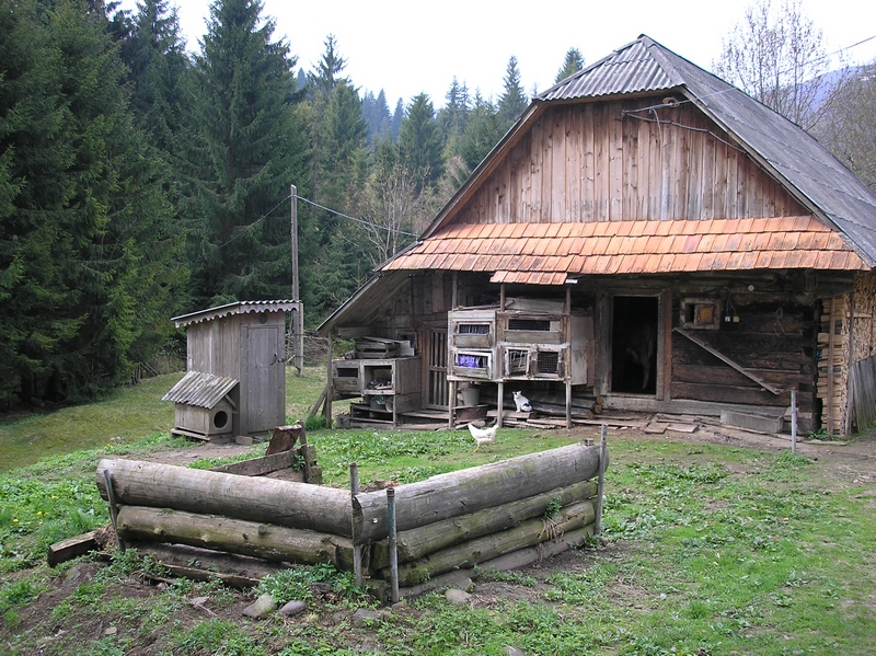 ����� ������