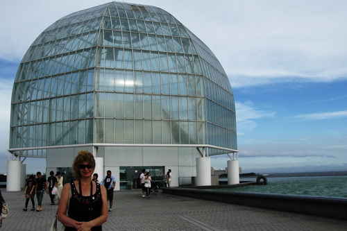  , , Sea life park, -    ,           .