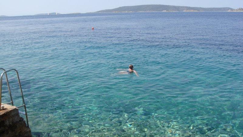 ���� ���������