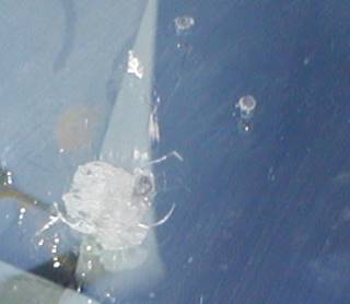     .   40   120 