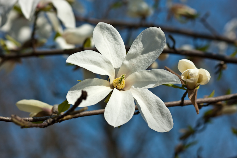 � �� �����. ����, "��������" ������ ������