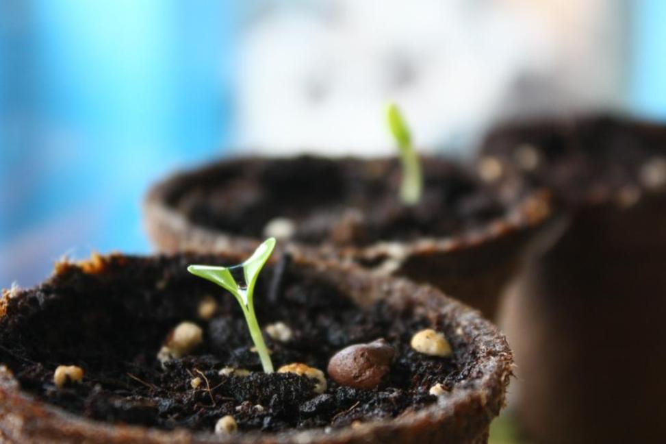 ��������� ������������ � �������: