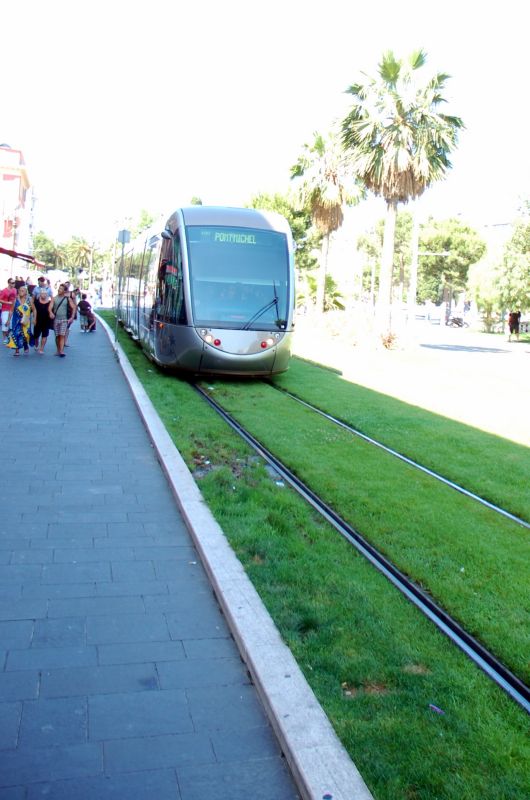 �������� (��� ����������.) ����������