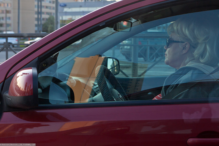 � ������ ����� ����  �������� ������� �� ������� ��� ��������� ����. ������ ����� ������� � ������ ��������� �����