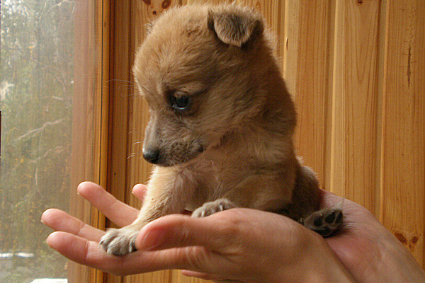 �������� ������ ������� ����� ����� ���������� ������� ����� �������� �� ������� ��� �������� ��� ����� ������. -������, ��, �� ��������� � �����������