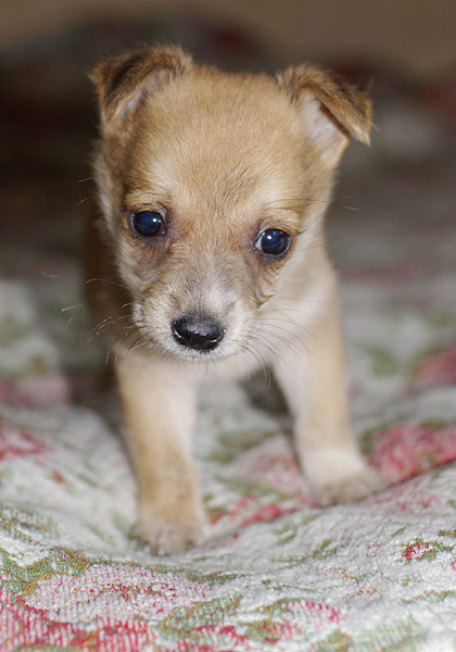 ������ ����, ������� �� ������ �� ������� ���� ������� � �����������.����� ������� ������, �� ��� ��� ������ �� ����� ���������