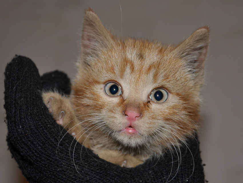 ���� �����.