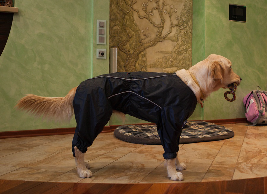 �������� ��������� �����, � �������� ��� ���� �����, �� ����������� �����. ������ ����� ������������