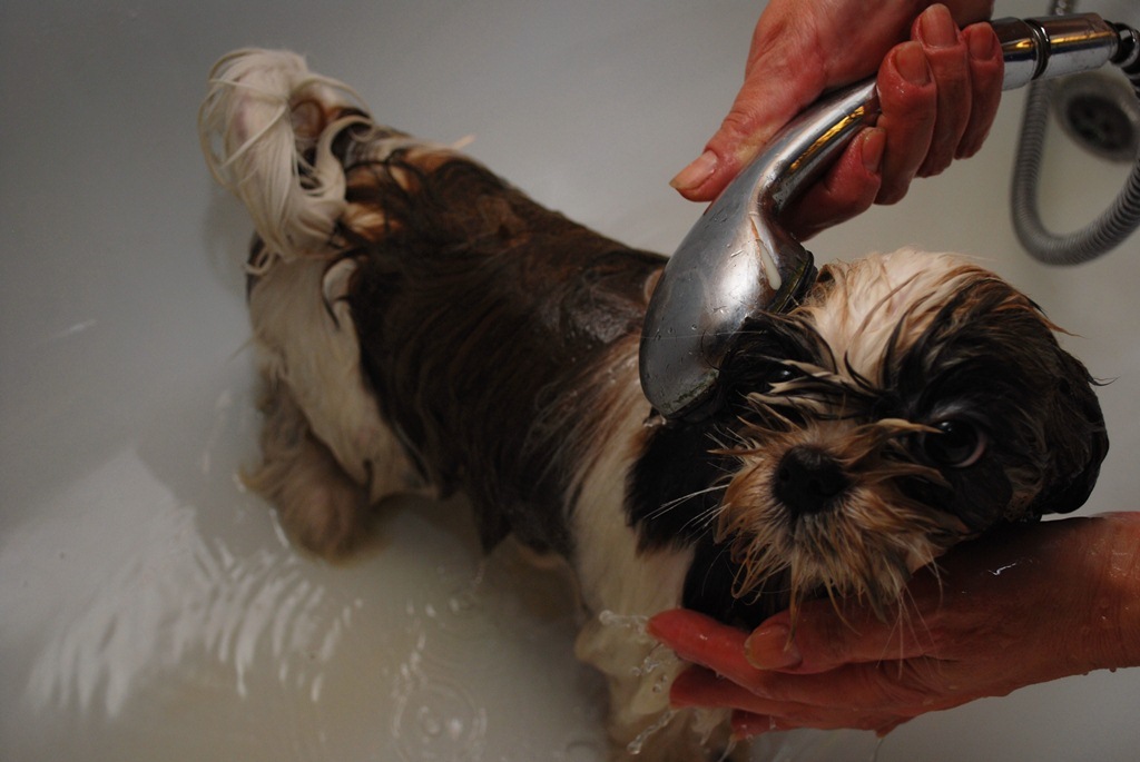 �� ������� ������� ������ ������)))  �� ������  ���� ����� ������������������� �������, ����, �� ��� �������� ��������.