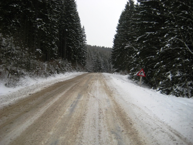 ����� ��� ��������.���������� ����-�����-�����-���������-�����-���������- ������-�������-���������-�����-������-�������-�����������, �������-��������- ����� ��������-����