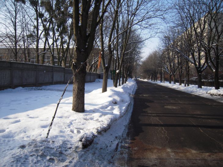 �� � ��������, ���� �� ������� �� ����, ������� ������ �� ������� � ������