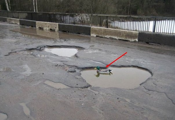 ��� �� ��� ����� ������.