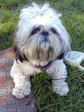     : 13:25, 12  2012,   10.05