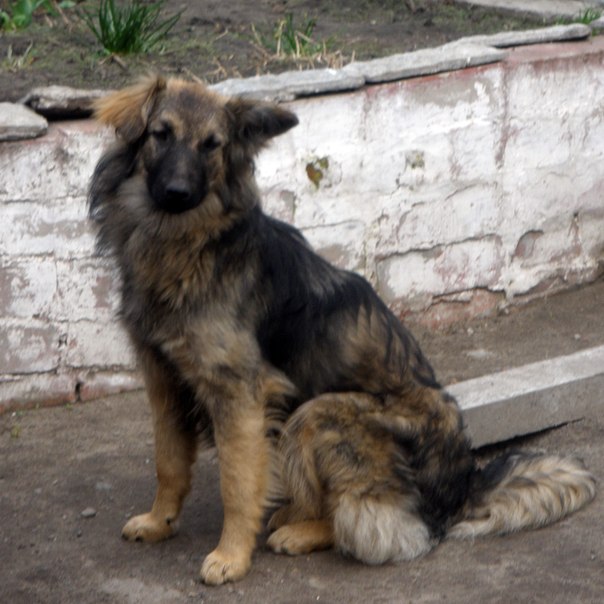 11 ,    ,   ,      .     