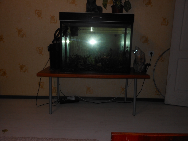 ,  .        40    4 ,  - 