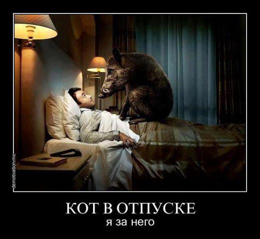 �� ���������.