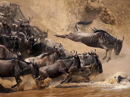 ������� ����� ������ �� 40-����� � ������� �������� �����.��, ���� ����, �� �������� ����� ��������, ������ ������� ������� ���� �� � ���