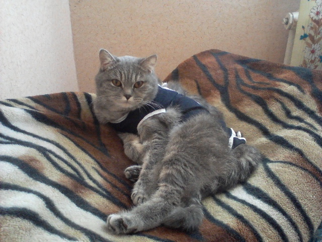 ���� �� ��������� ����� �������, ���������, ��� � �� ��� ����� ��������� � ��������� ����� ������ 31 ����� , � 1 ������ ��� �� �����.�