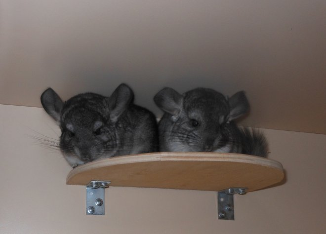 ���������� ��� ��� ���� ������. ��� ��������� ���������������