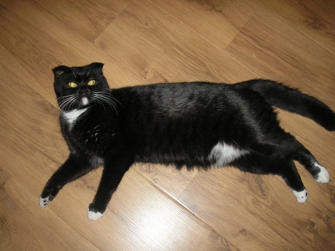 ,  1 :