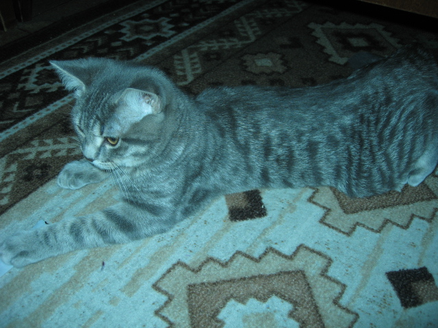 ������� 0�7 �591989