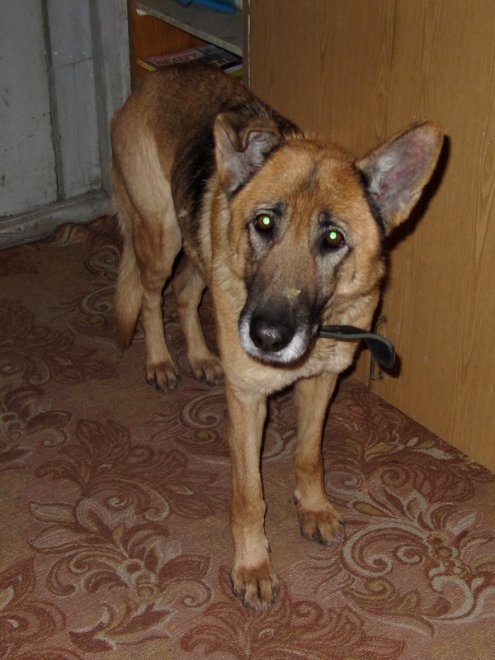 ������. ������ ������ � ���������