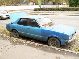 .  1981 
