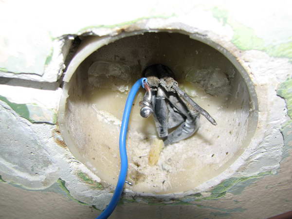 �����������.�������� � ���������