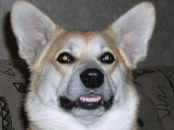 �������� ��� �������� ������� ����� � ���� - ����� ����� ������� � ������ - ����� �������-�������� ���� ����� ������-�� �� ���������������.