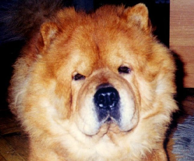 ��� ��� ����. ��� - ����������� ��������