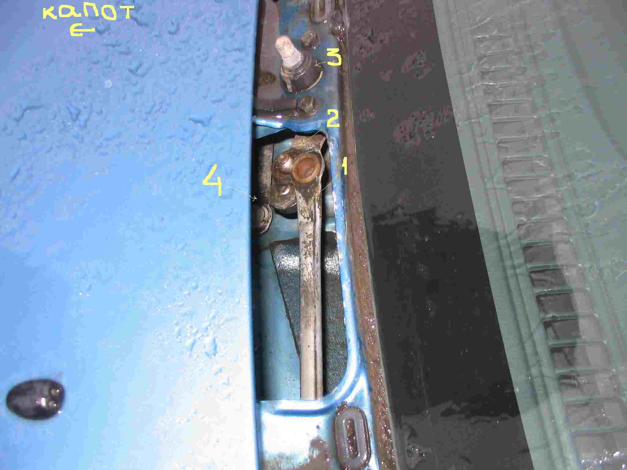 .   ,     ,          -  