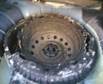 ����������