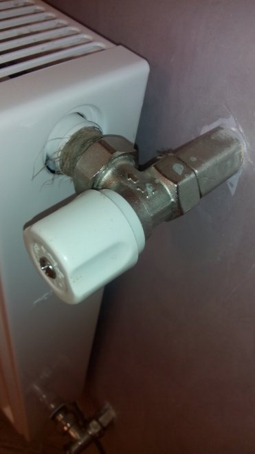� ���� ����� ������ �����.� ���� ����-�����