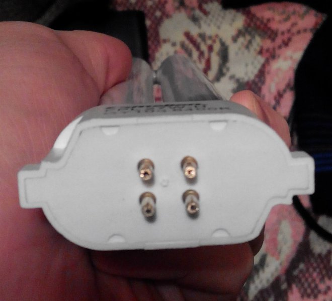 ��� 4 ��������